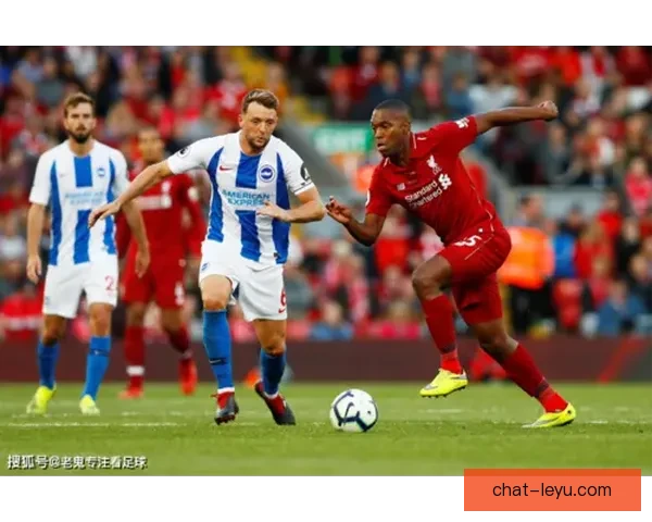 布莱顿足球俱乐部崛起之路：从英格兰海滨小镇到顶级联赛新势力